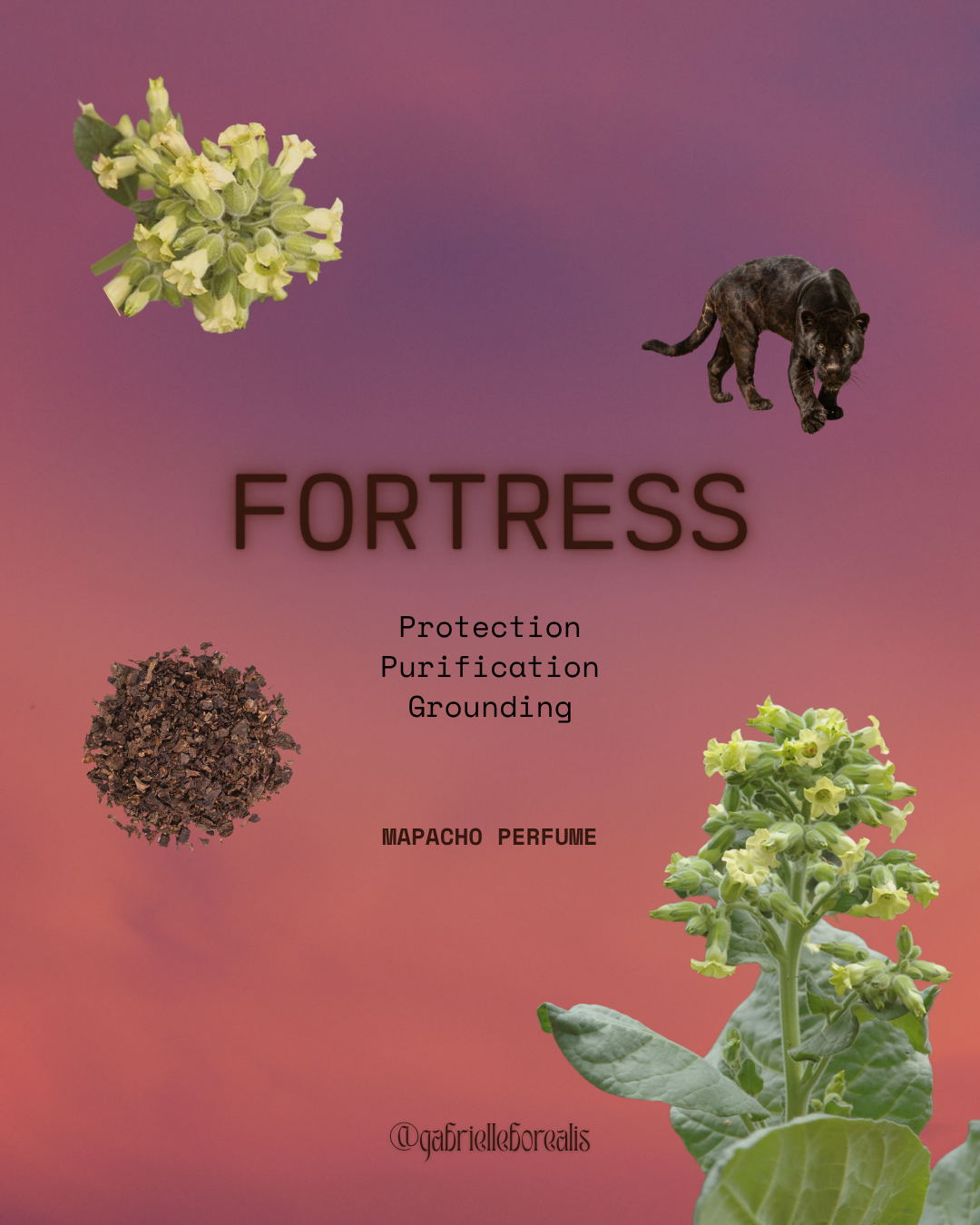 Fortress Protection Spray